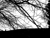 blacknwhite blacknwhite