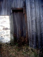 dscn1995 dscn1995