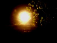 dscn2211