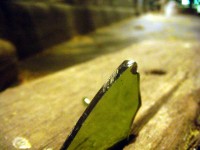 dscn2217